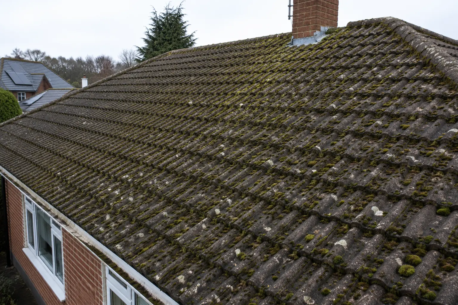 Roof Moss Removal Service Roof Cleaning Bournemouth Moss-covered tiled roof before professional roof cleaning in Bournemouth.